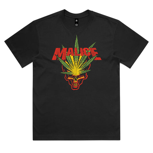 AJ Soprana Pan-Turra Rip